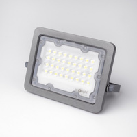 Naświetlacz LED 30W 6500K 3000LM PREMIUM LINE EC20048 