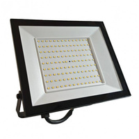Naświetlacz LED czarny NL-3 150W 4000K 90lm/W IP65 Eco Light EC61470