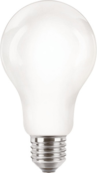 Żarówka LED 13W - 120W 2000lm 4000K E27 A67 Classic 